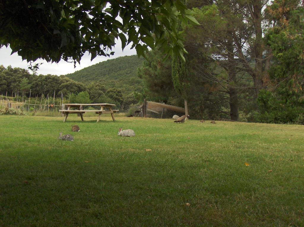 Mas Roquet Maçanet de Cabrenys Exterior foto